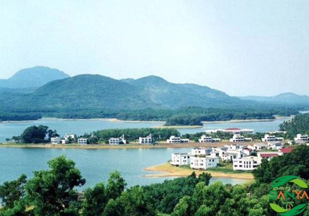 海南上半年新增减税降费及退税缓费82.6亿元，税费优惠政策