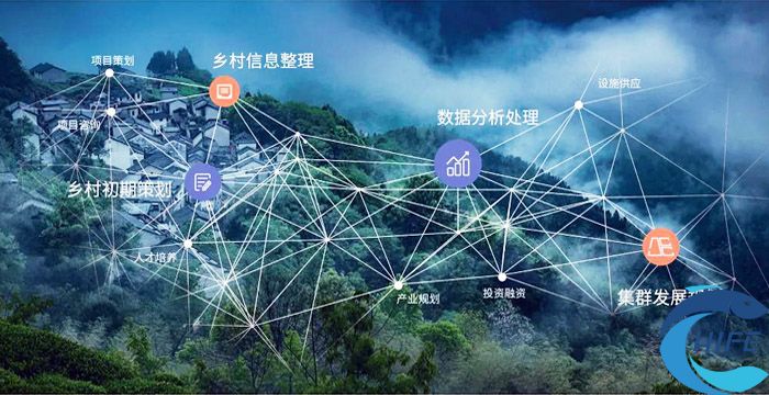 海口琼山区开展“非粮化”“非农化”专项整治行动