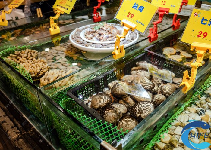 2024海南三亚渔业博览会有什么展品类别？