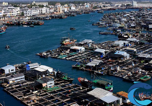 2024年海南国际渔业博览会的展览内容有哪些？