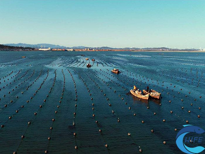海南省在深远海养殖方面的技术创新有哪些