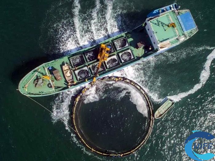 海南水产养殖发展现状