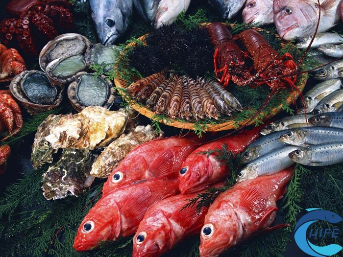 2024海南国际渔博会时间和地点